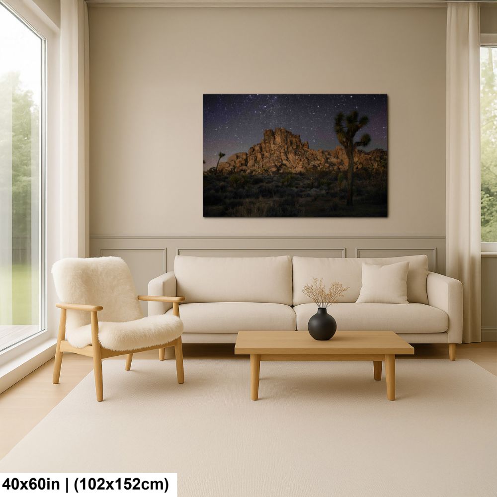 Joshua Tree At Night