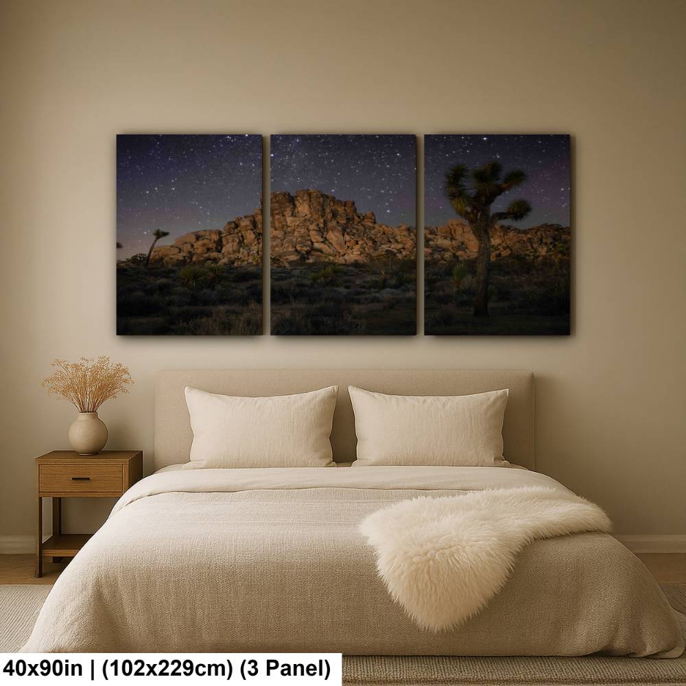 Joshua Tree At Night