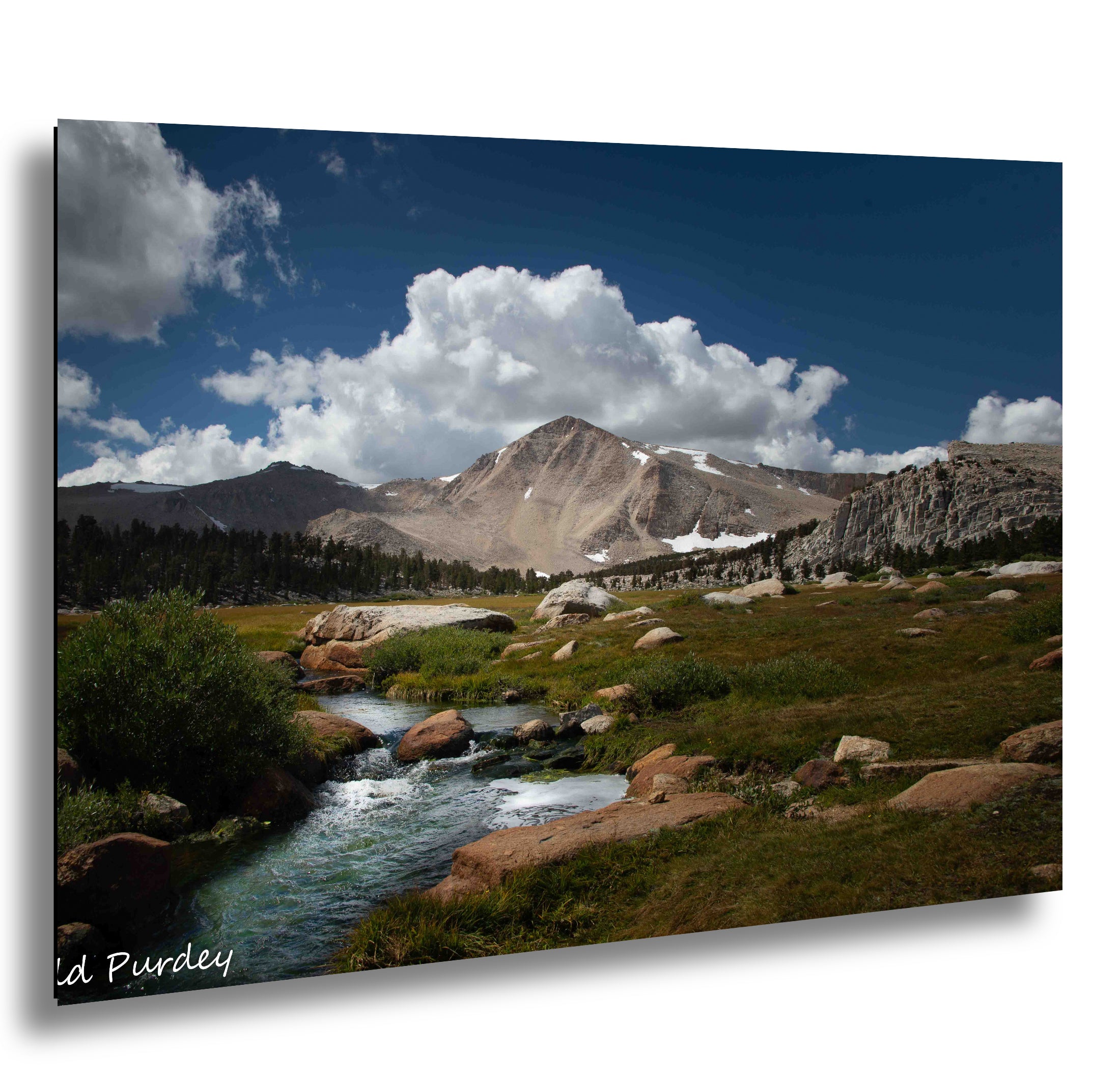 Alpine mountain stream flowing through meadow with granite peaks, forest, and blue-sky landscape photography.