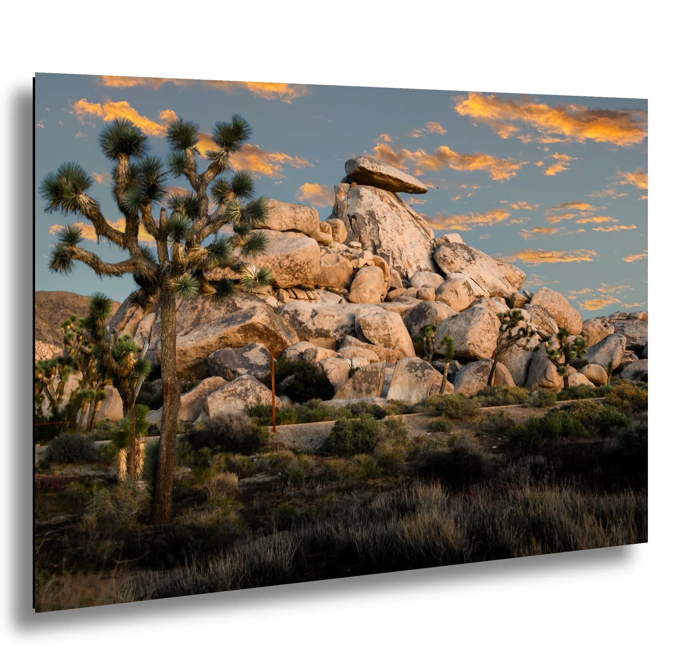 Joshua Tree National Park golden hour sunset with massive granite boulders, desert vegetation, and colorful sky landscape photography.
