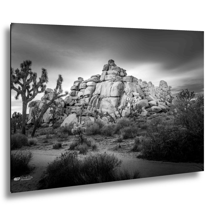 Joshua Tree National Park