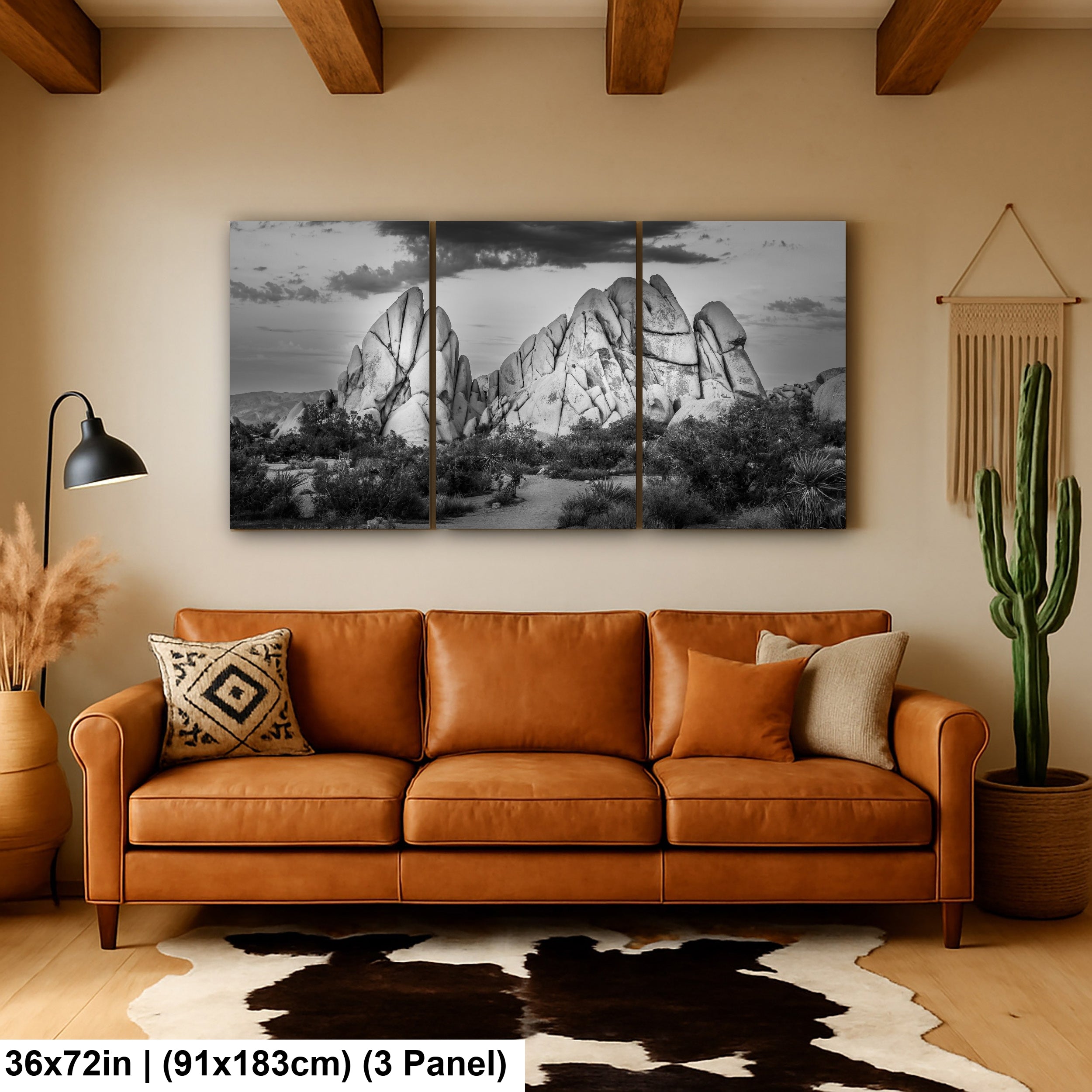 Joshua Tree National Park 4