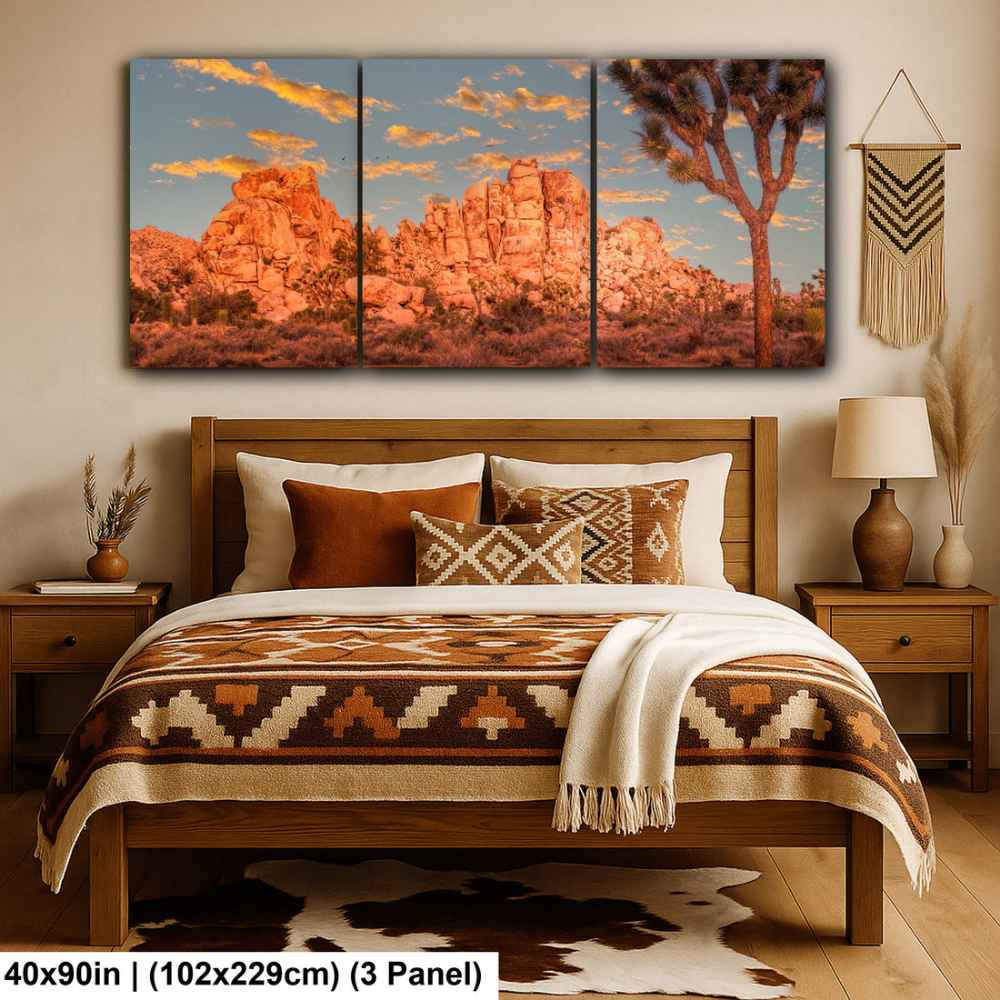 Joshua Tree National Park 1