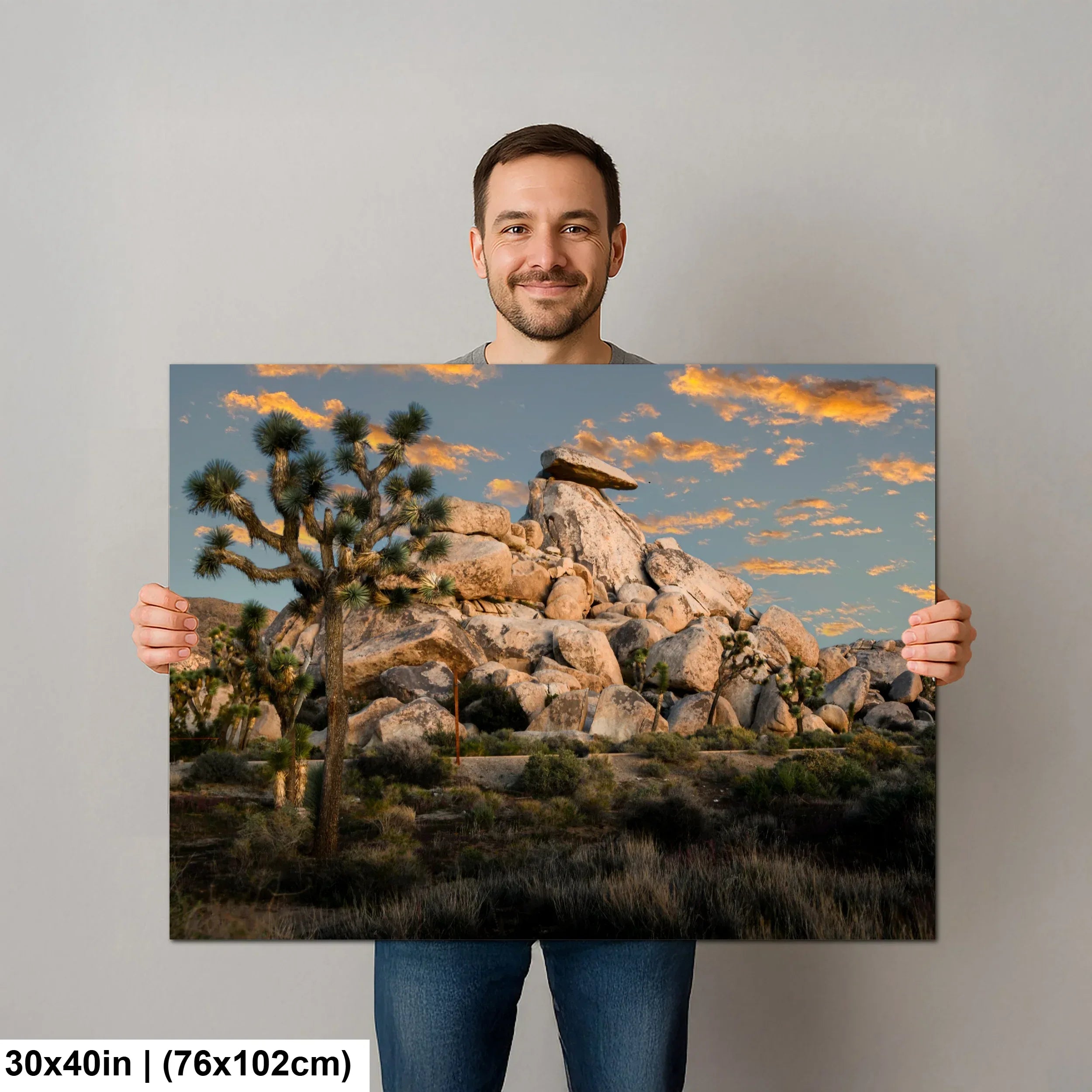 Cap Rock, Joshua Tree National Park - Donald Purdey Photography