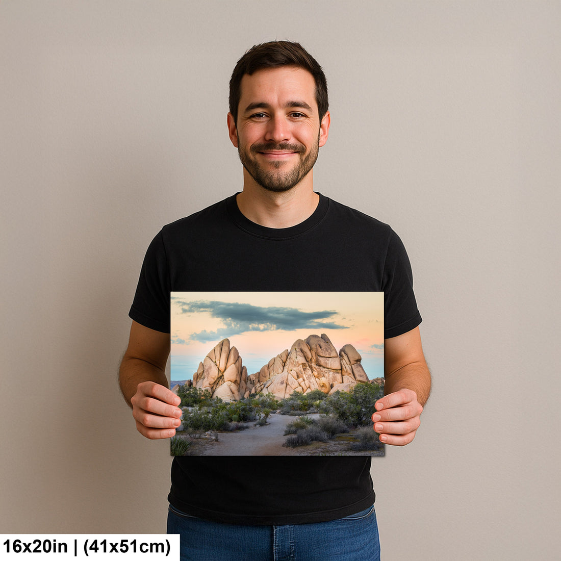 Joshua Tree National Park 3