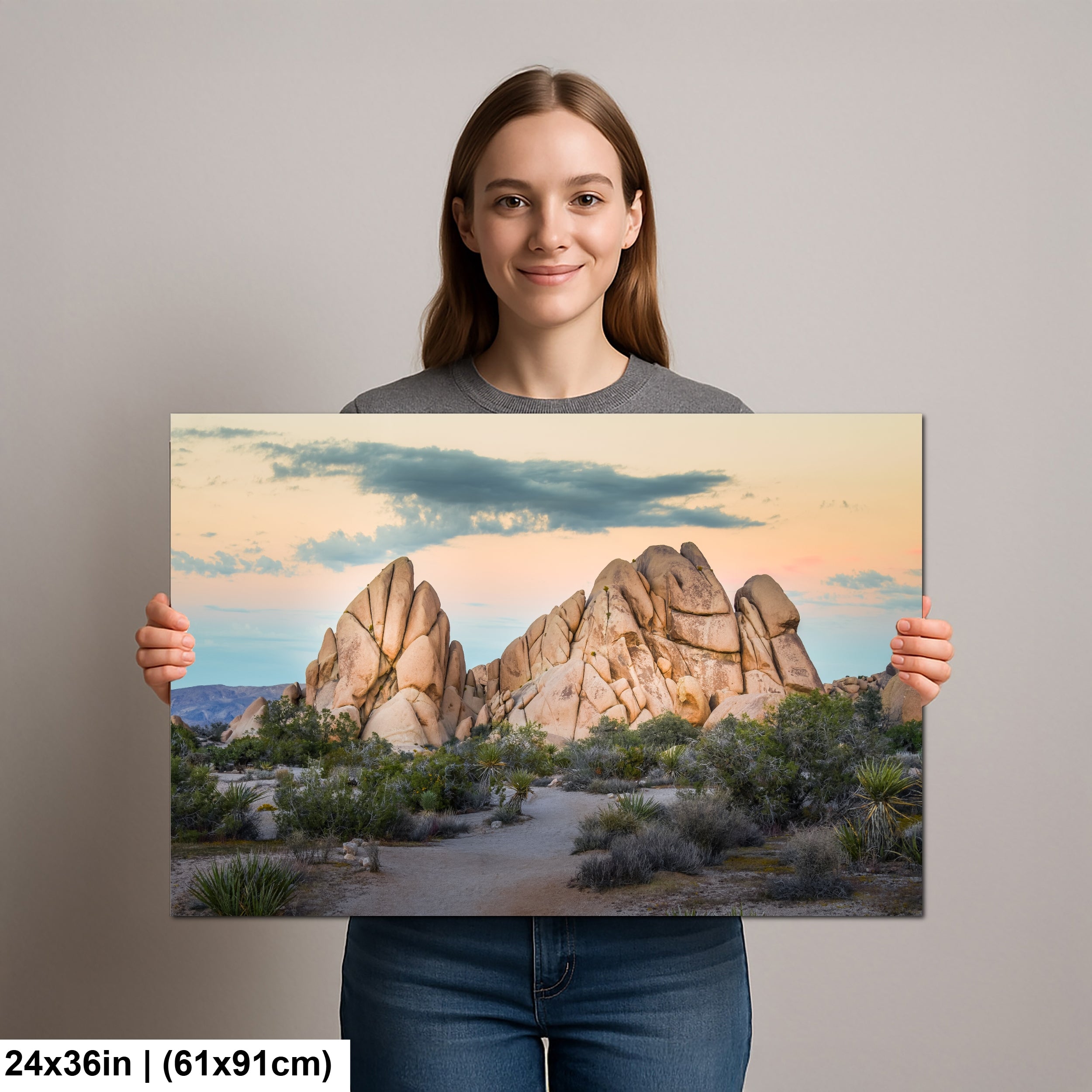 Joshua Tree National Park 3