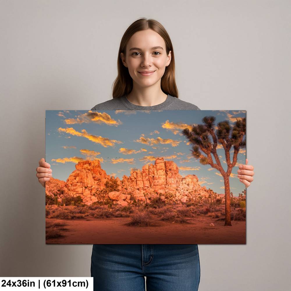 Joshua Tree National Park 1