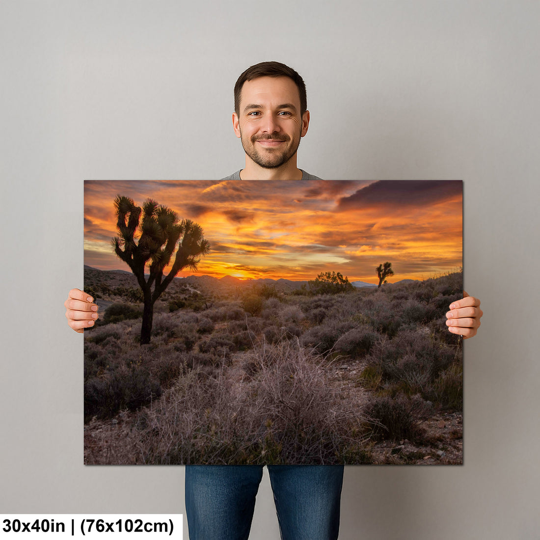Keys View at Joshua Tree National Park