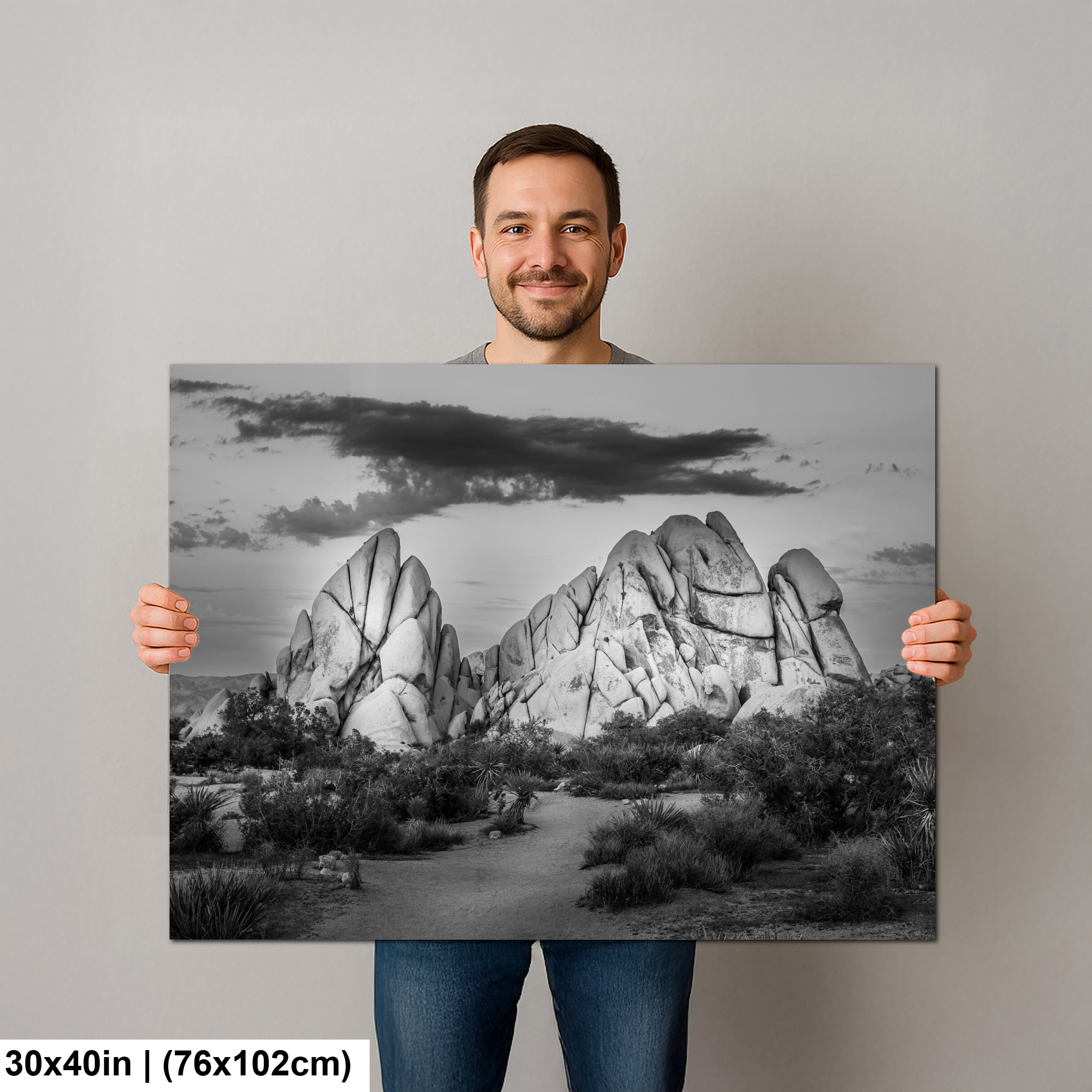 Joshua Tree National Park 4