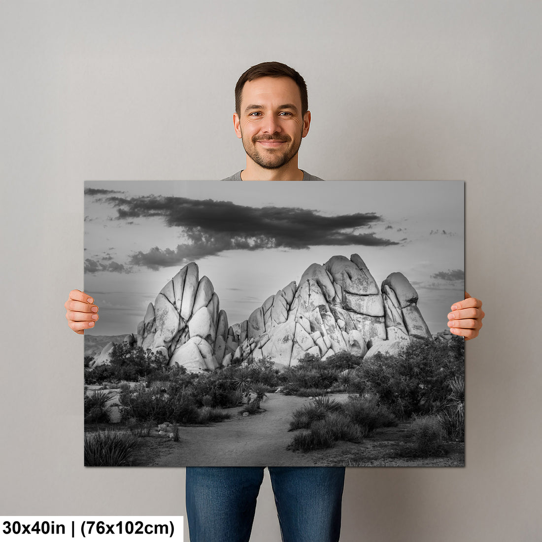 Joshua Tree National Park 4