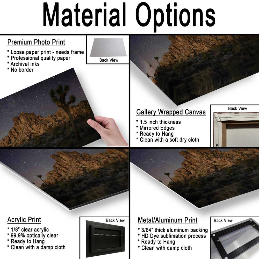 Joshua Tree At Night