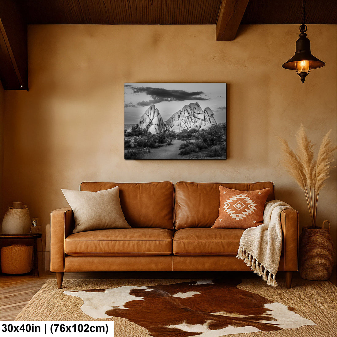 Joshua Tree National Park 4