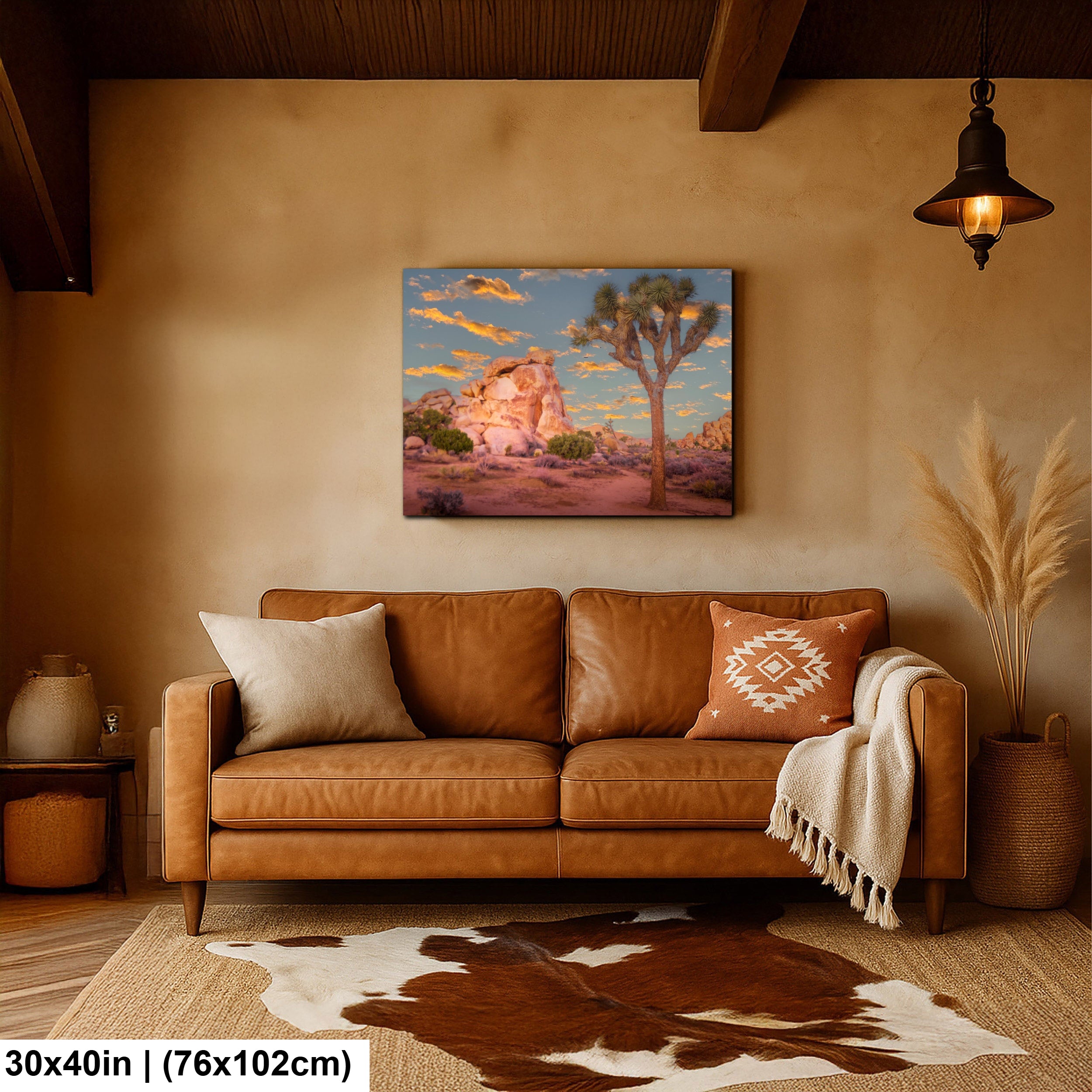 Joshua Tree National Park 2