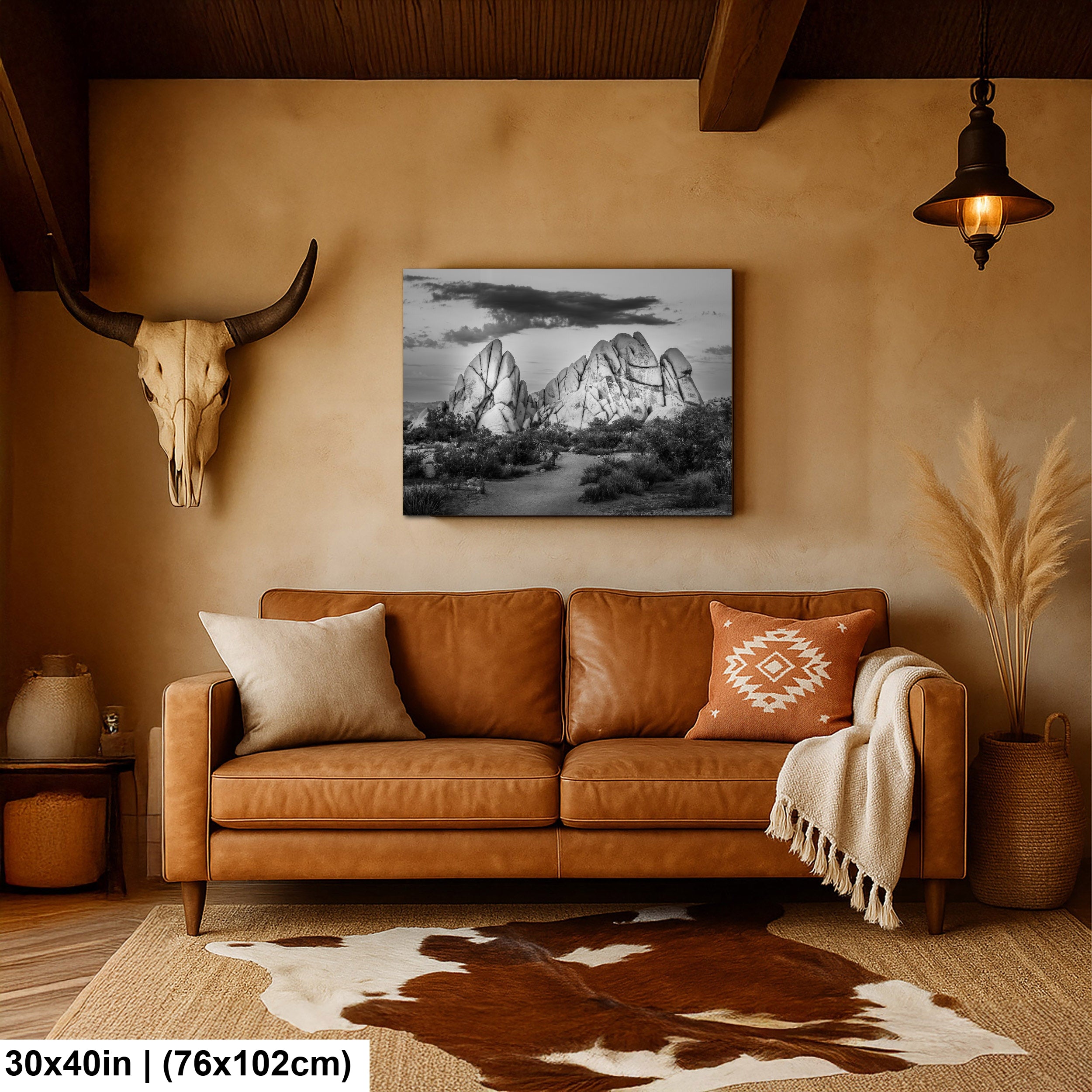 Joshua Tree National Park 4