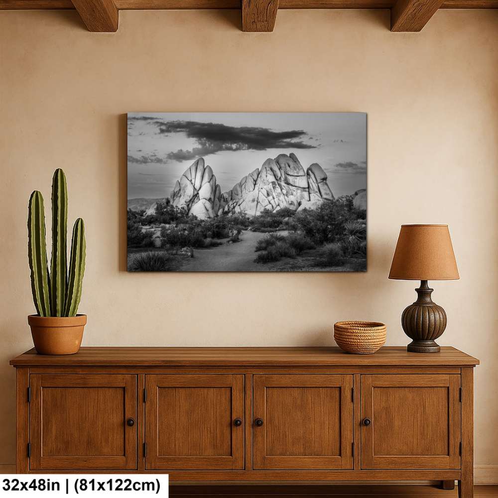 Joshua Tree National Park 4