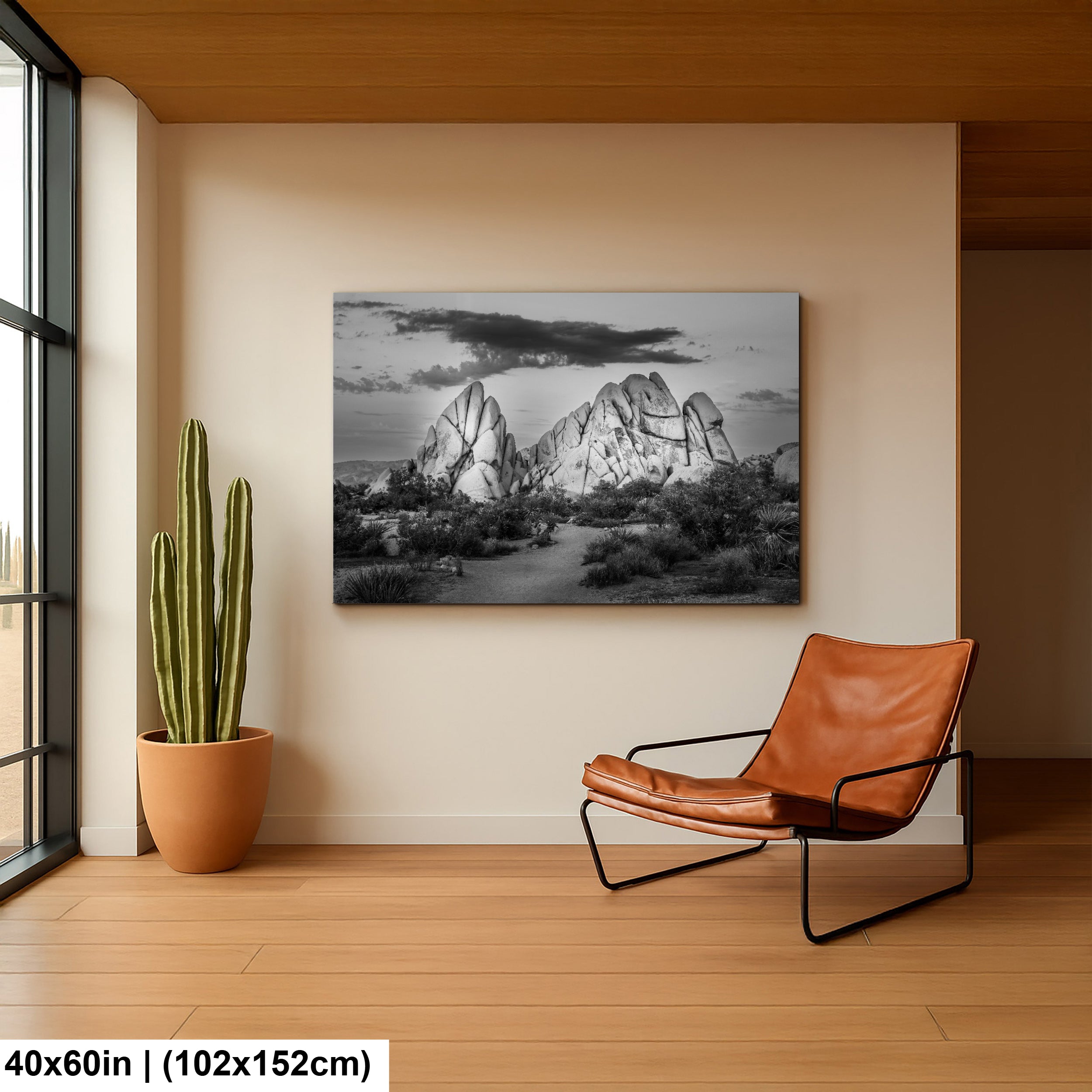 Joshua Tree National Park 4