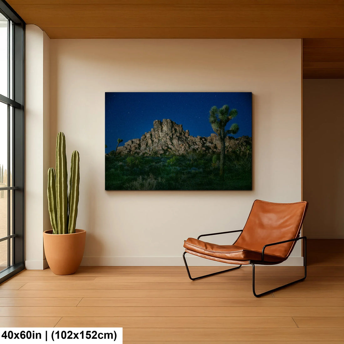 Astro-photography i Joshua Tree National park - Donald Purdey Photography