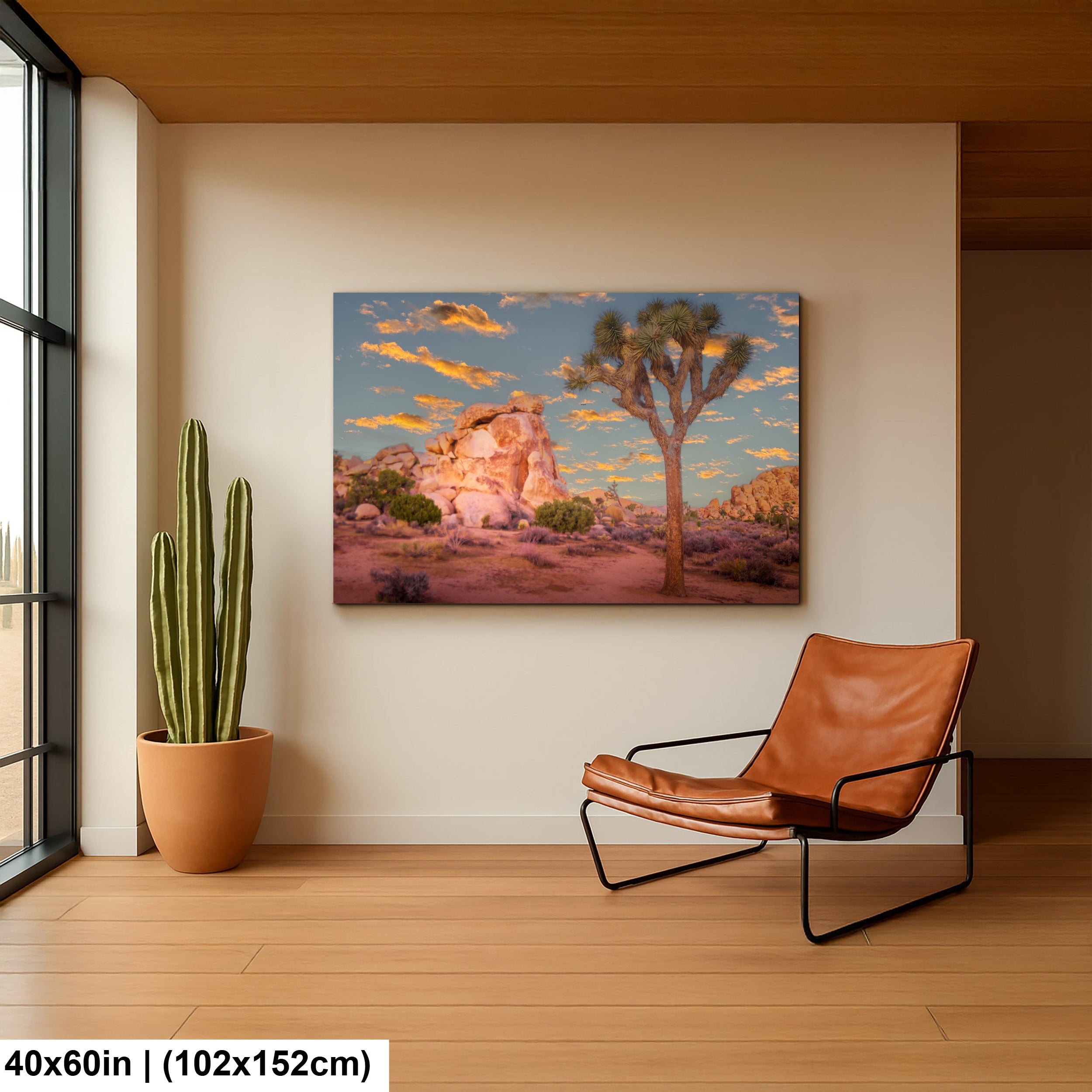 Joshua Tree National Park 2