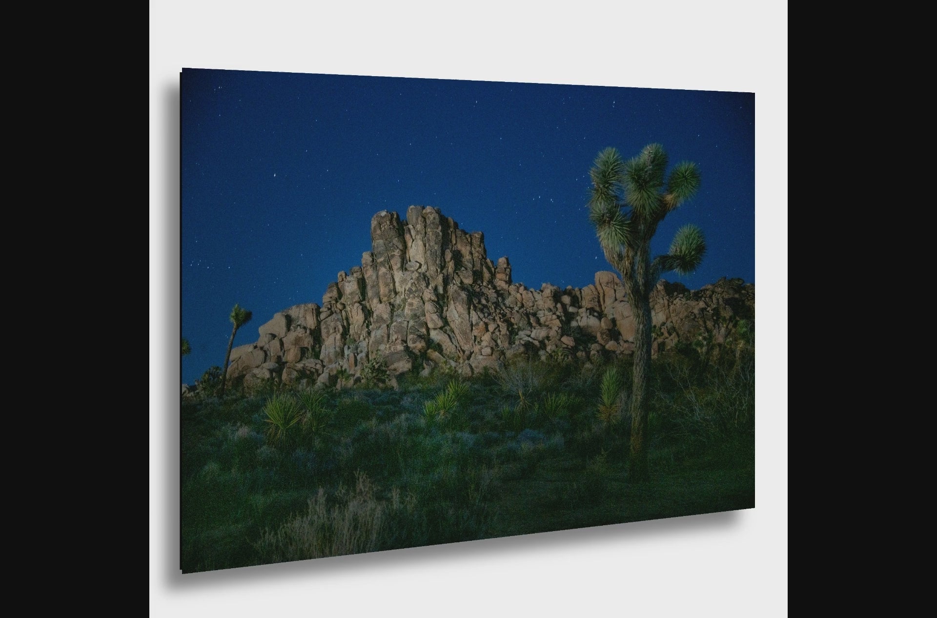 Joshua Tree Starry Night Print | California Desert Astro Art