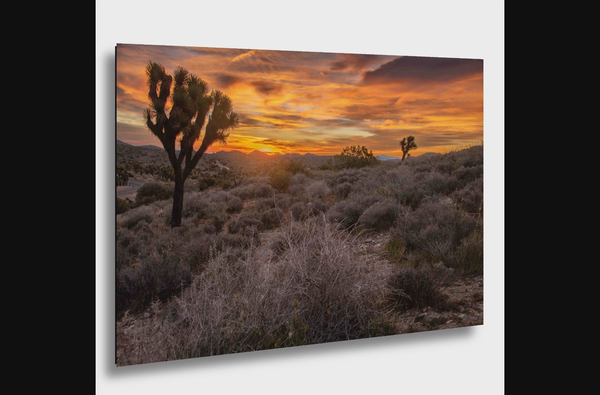 Keys View at Joshua Tree National Park
