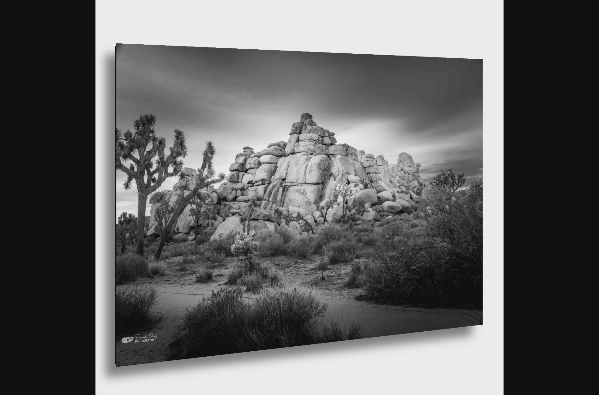 Joshua Tree 4
